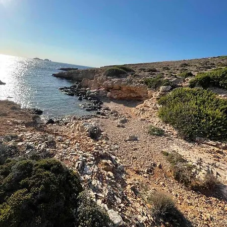 Dejablue * Παράσπορος