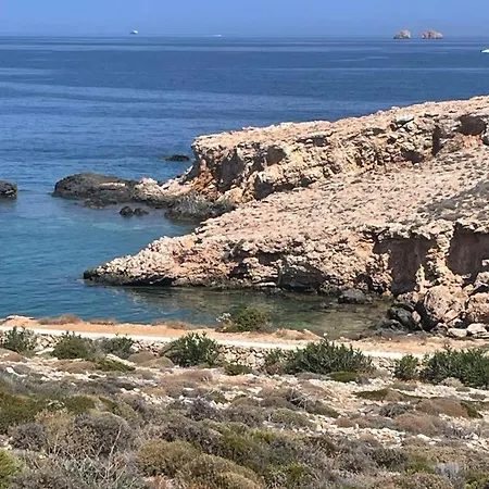 Dejablue * Παράσπορος